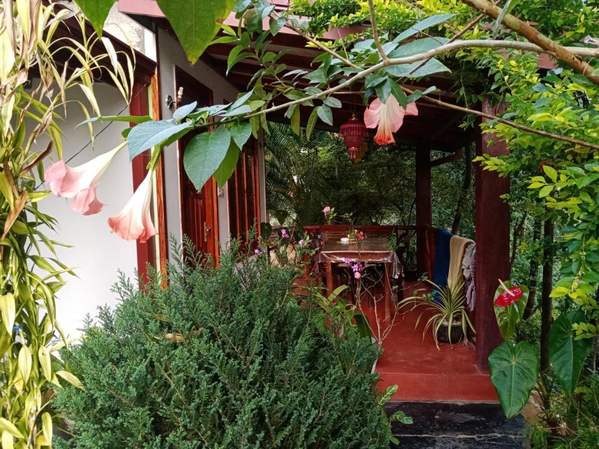 Littleadems View Bed & Breakfast Ella Exterior photo